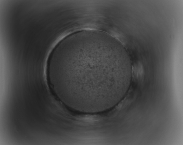 X0000093170292200710031509