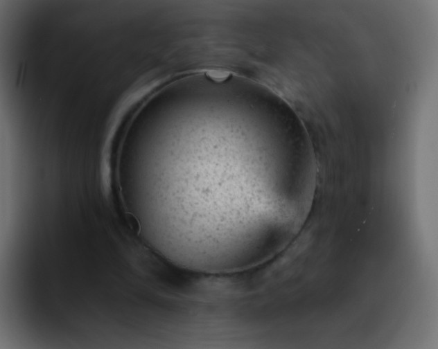 X0000093170294200710031509