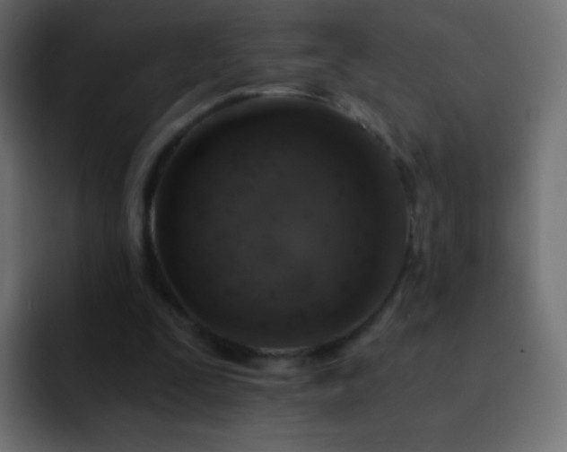 X0000093170295200710031509