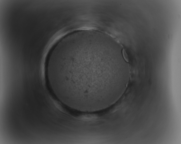 X0000093170296200710031509