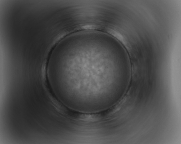 X0000093170297200710031509