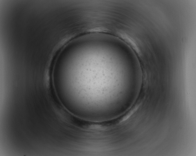 X0000093170298200710031508