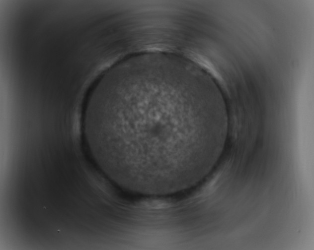 X0000093170299200710031508