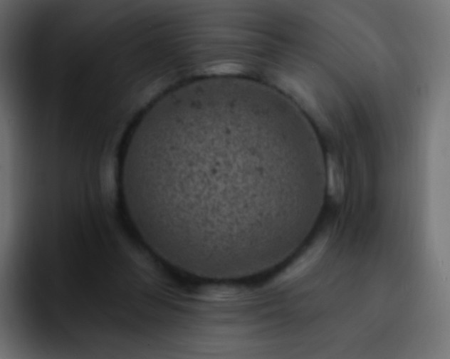 X0000093170300200710031508
