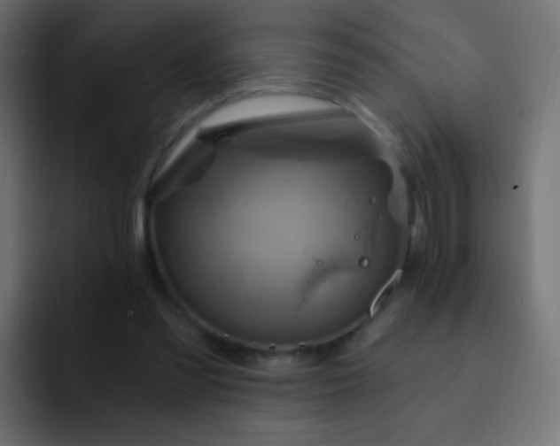 X0000093170301200710031508