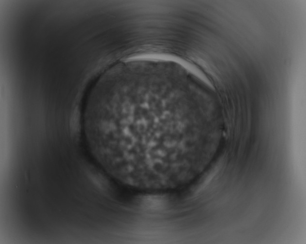 X0000093170303200710031508
