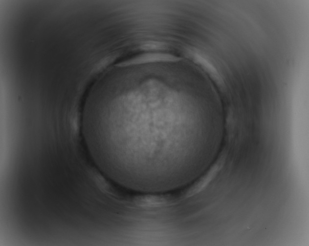 X0000093170305200710031508
