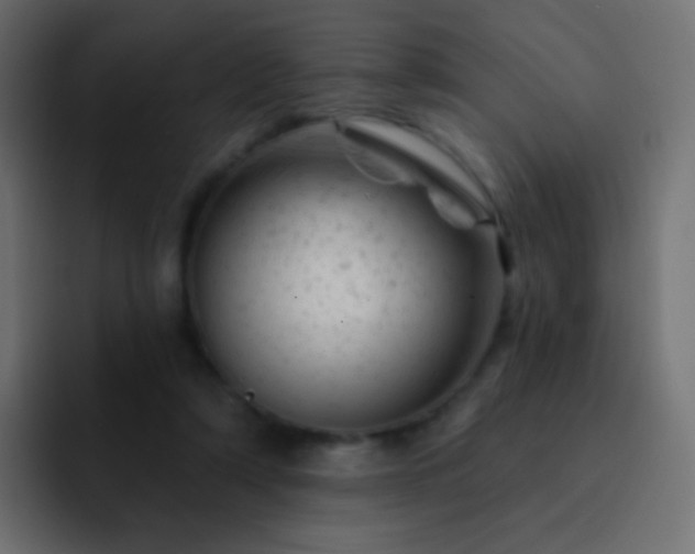 X0000093170306200710031508