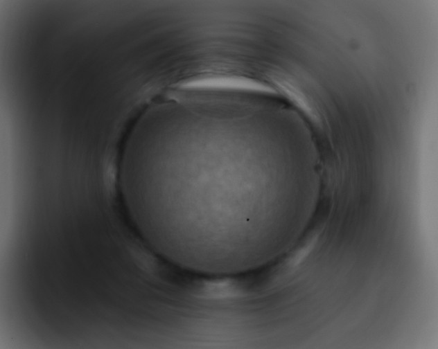 X0000093170309200710031508