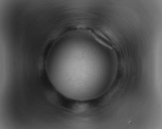 X0000093170311200710031508