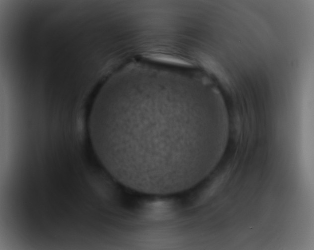 X0000093170312200710031508