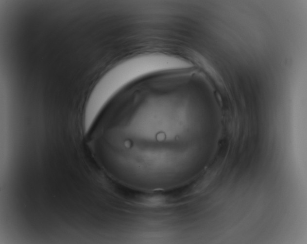 X0000093170313200710031508