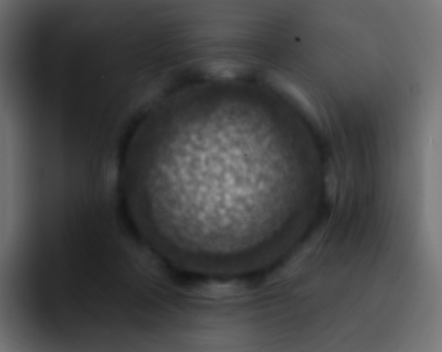 X0000093170314200710031508