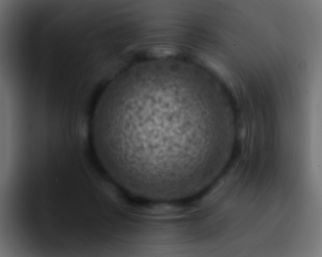 X0000093170315200710031508