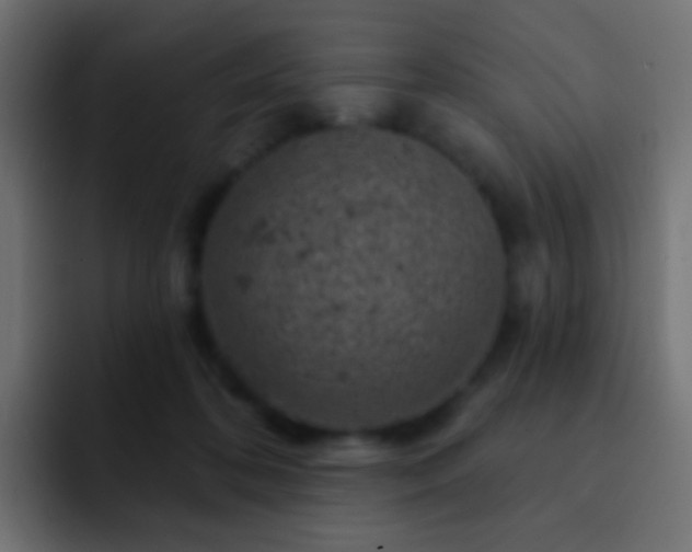 X0000093170316200710031508