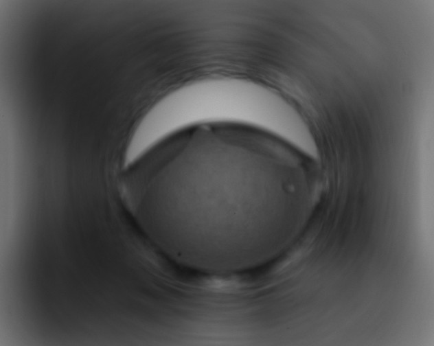 X0000093170317200710031508