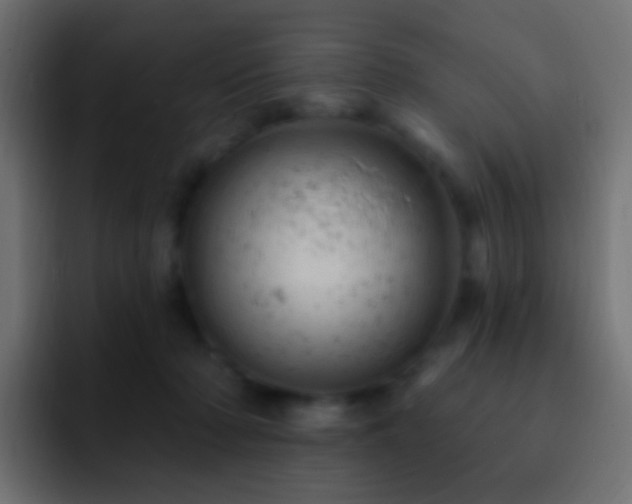 X0000093170318200710031508