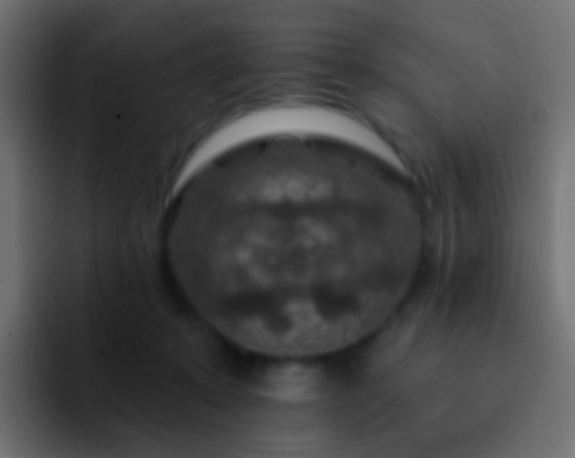 X0000093170319200710031508