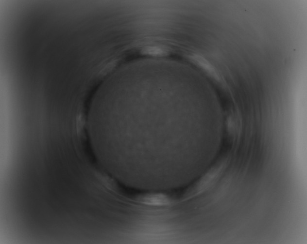 X0000093170322200710031508