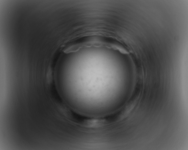 X0000093170323200710031508
