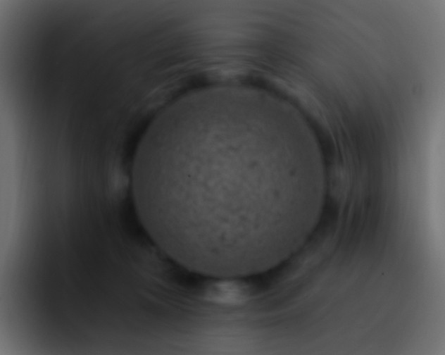X0000093170324200710031508