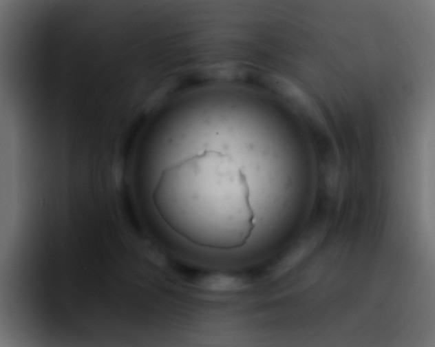 X0000093170326200710031508