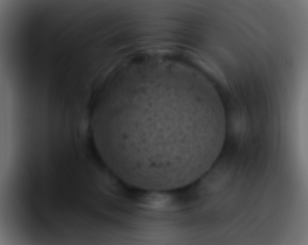 X0000093170328200710031508