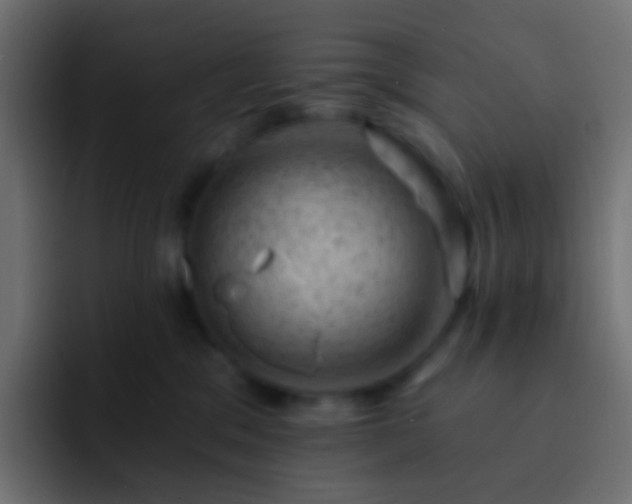 X0000093170329200710031508