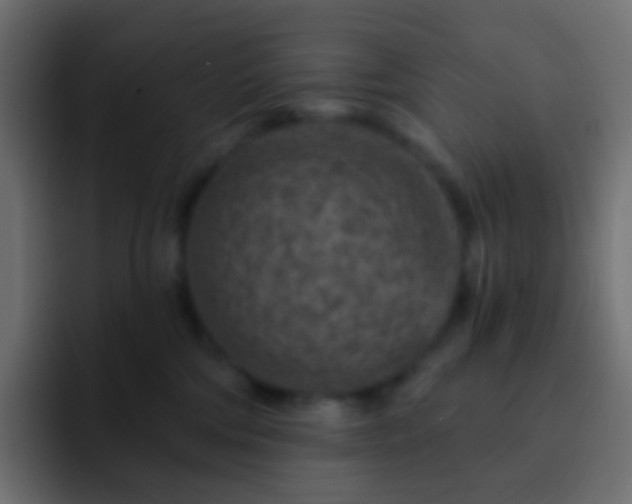 X0000093170330200710031508