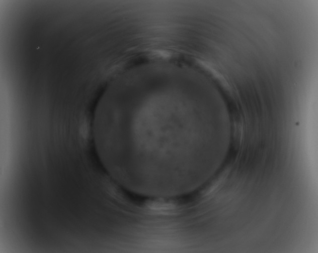 X0000093170331200710031508