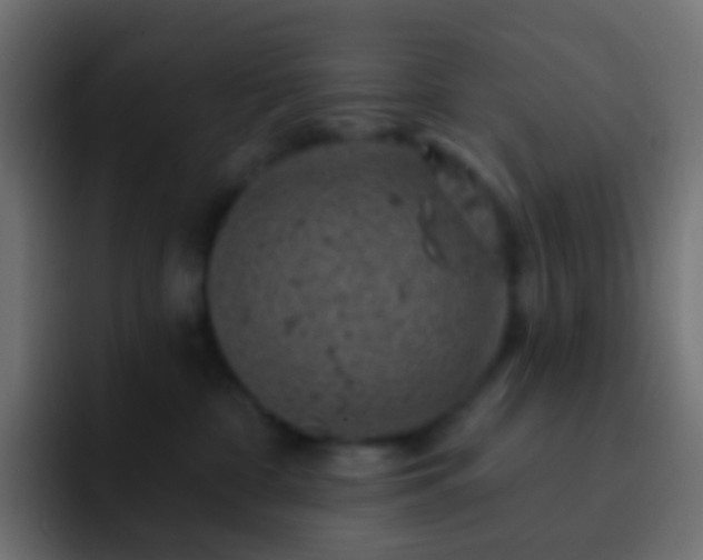 X0000093170332200710031508
