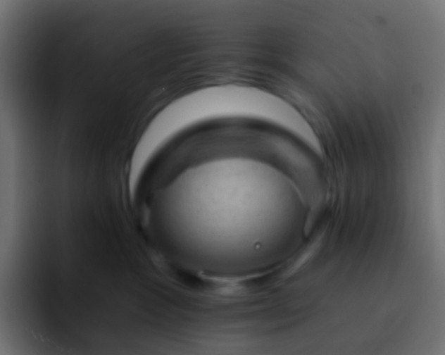 X0000093170333200710031508