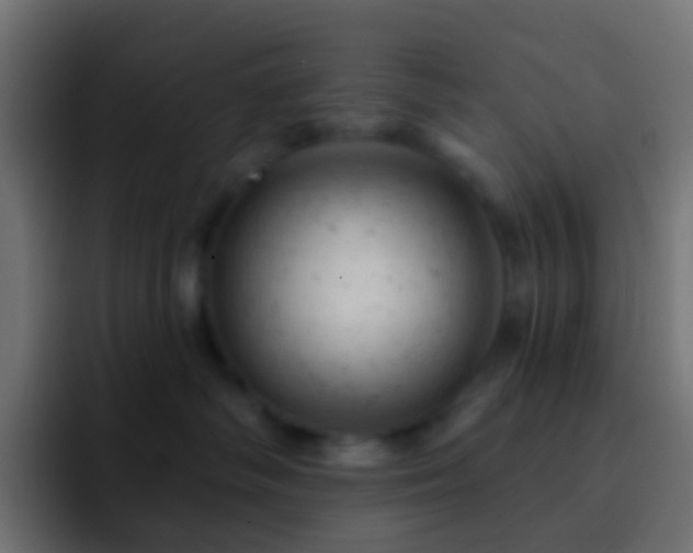 X0000093170334200710031508