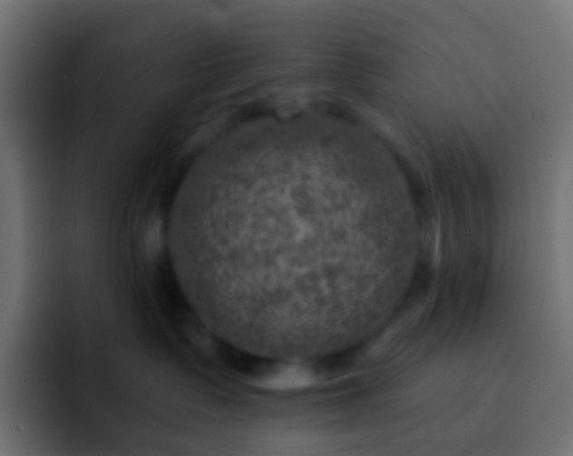 X0000093170335200710031508