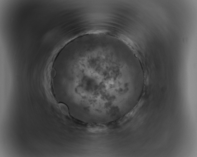 X0000093170337200710031507