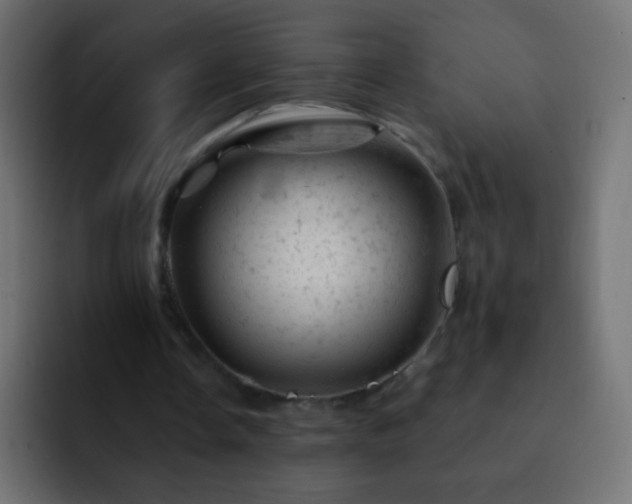 X0000093170338200710031508