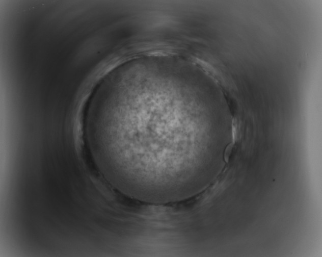 X0000093170339200710031508