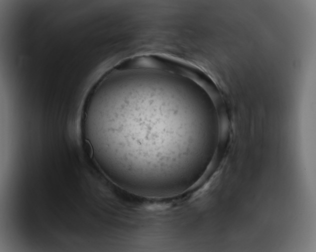 X0000093170340200710031508