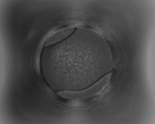 X0000093170341200710031508