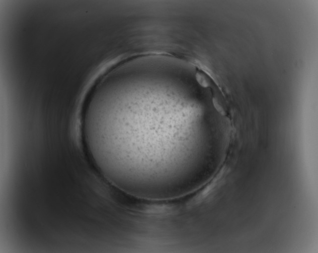 X0000093170342200710031508