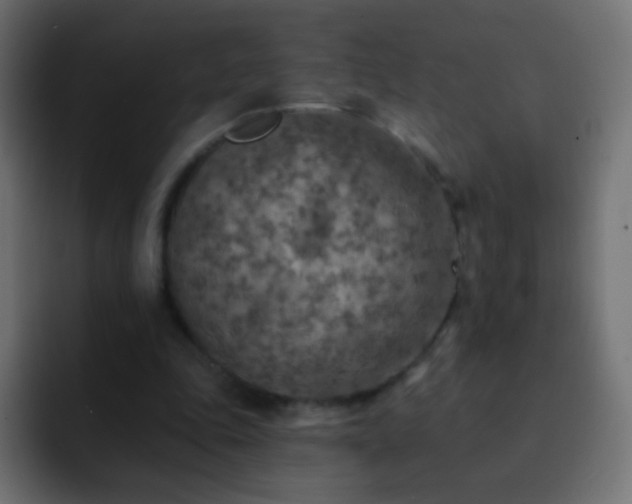 X0000093170343200710031508