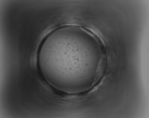 X0000093170344200710031508