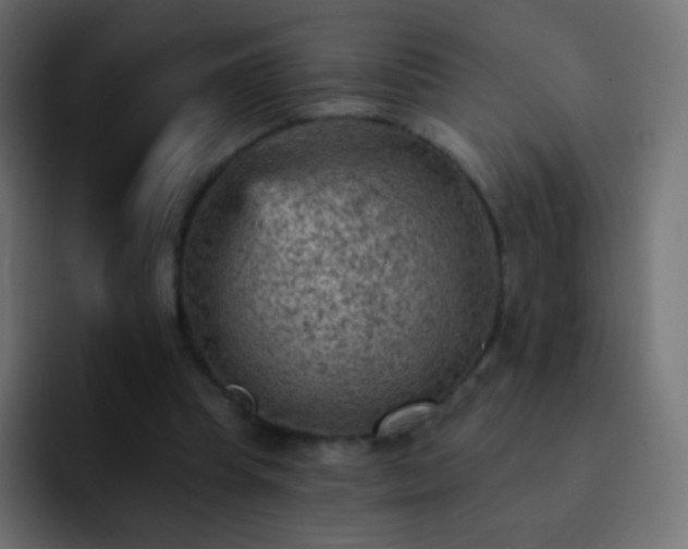 X0000093170345200710031508