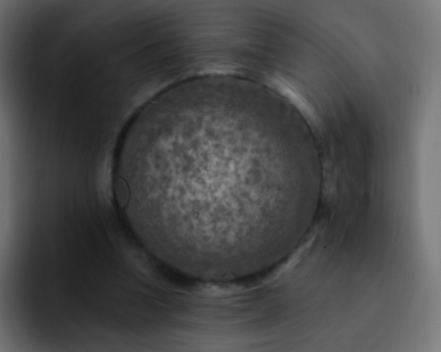 X0000093170346200710031508