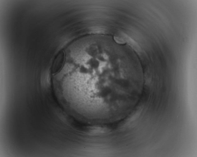 X0000093170347200710031508