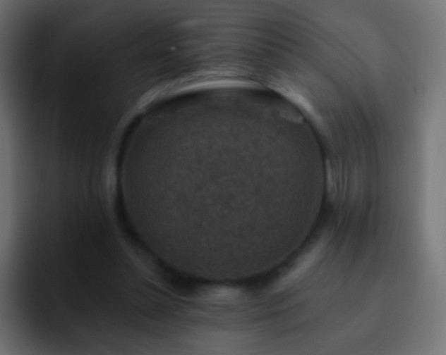 X0000093170348200710031508