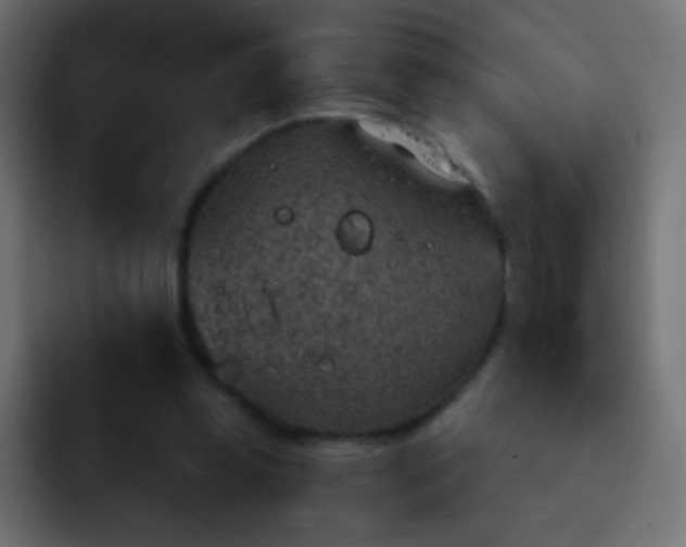 X0000093170349200710031508