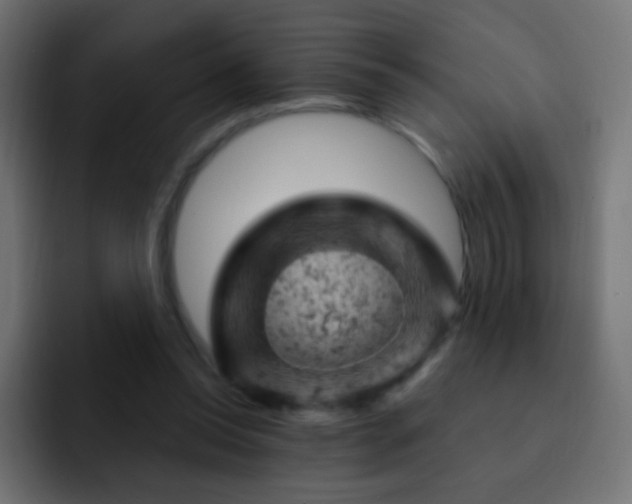 X0000093170350200710031508