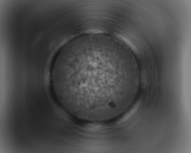 X0000093170351200710031508