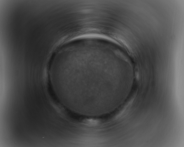 X0000093170352200710031508